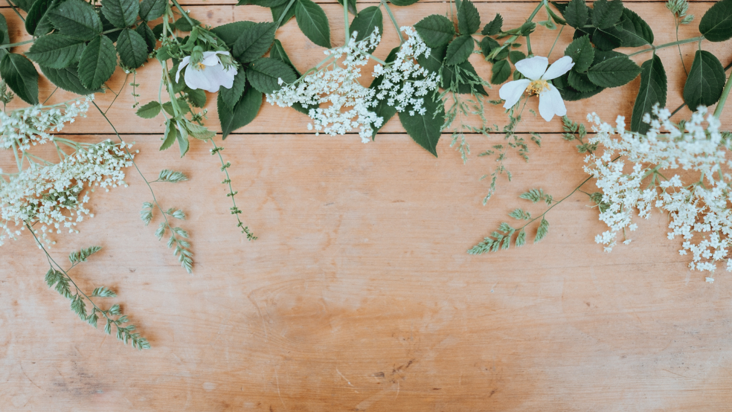 Download Versteckter neid For Free